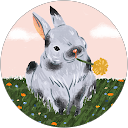 stella Cancilla profile picture
